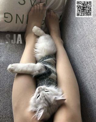 精品国产手机看片不卡免费av_蓝光免费全集观看