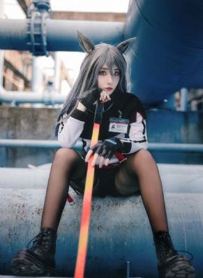 女人与公拘交的视频手机版_日韩在线观看